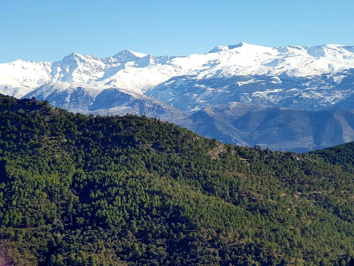 Ferienwohnung Rincon Del Genil Cenes De La Vega Exterior foto